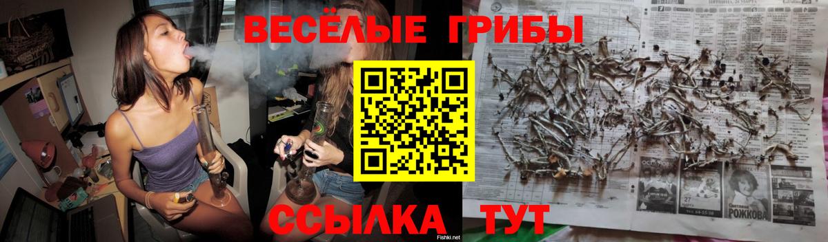 Псилоцибиновые грибы Psilocybe  Вход с VPN  Коммунар 
